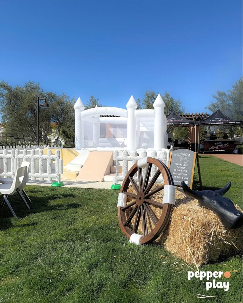 Rodeo Toddler Birthday Party in Irvine