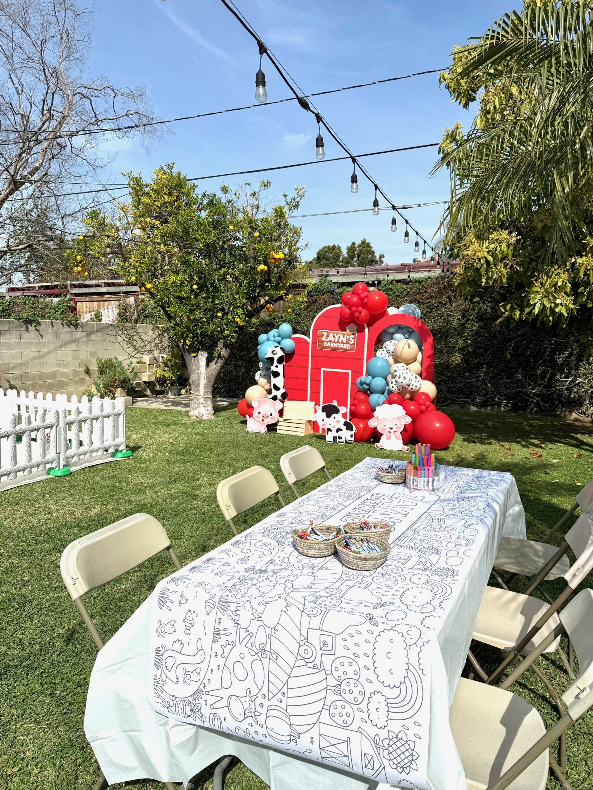 Barnyard Birthday Party Ideas