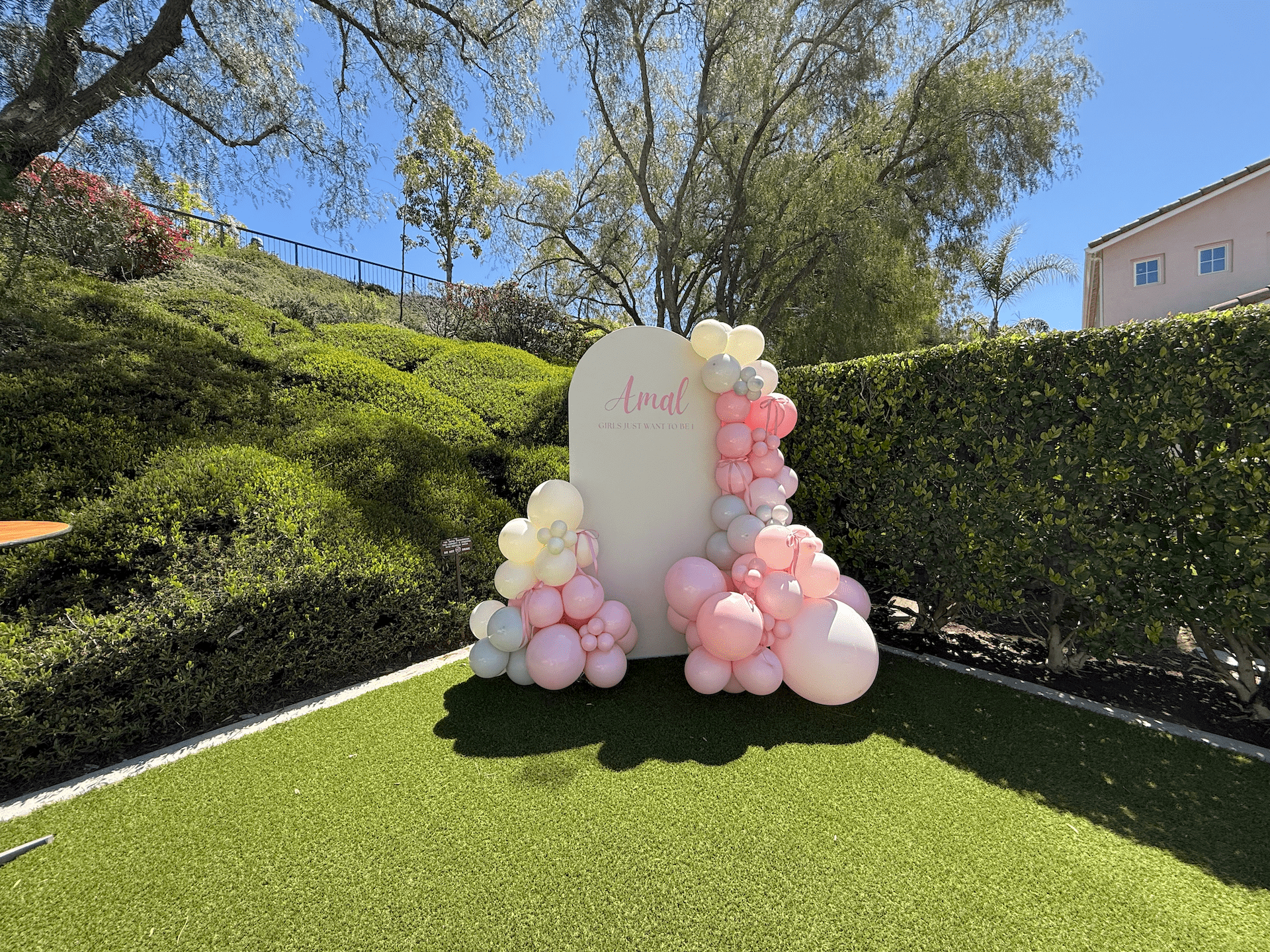 Balloon Backdrop Pink