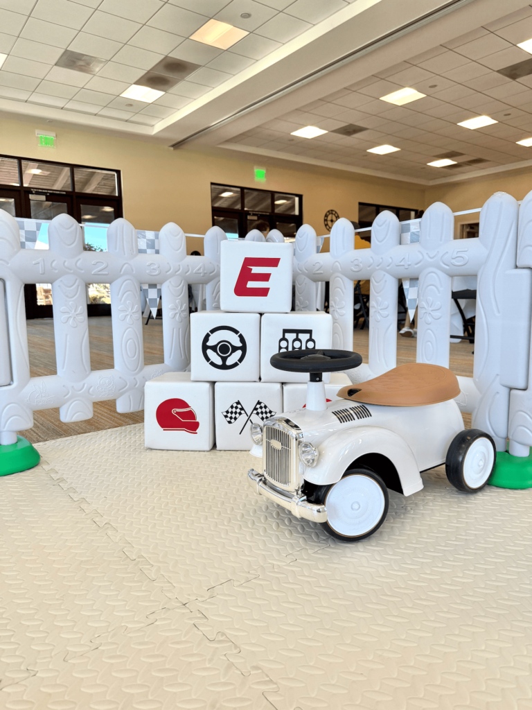 Custom Race Car and Building Blocks