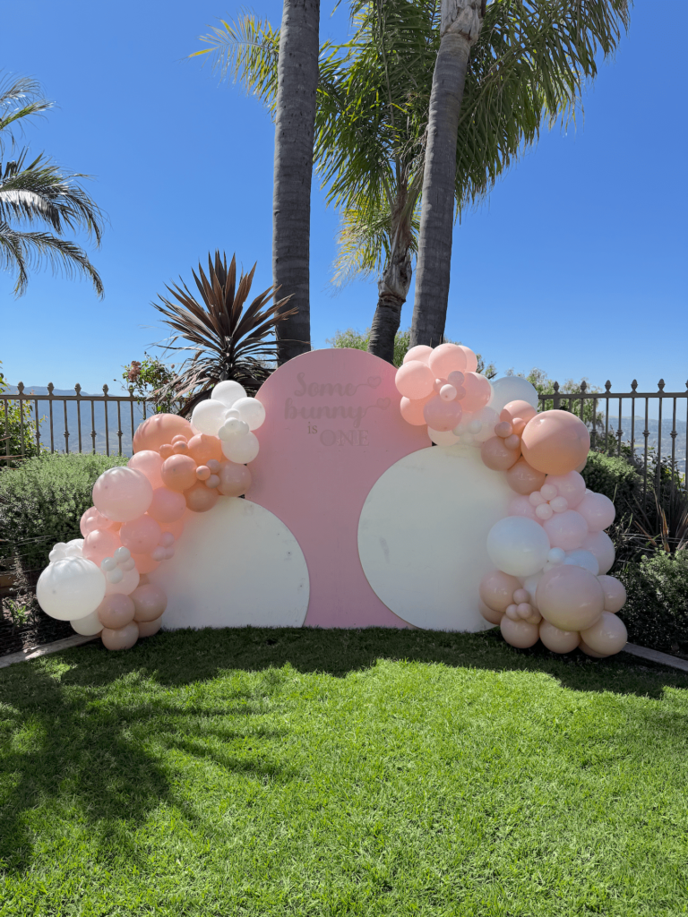 Soft Pink Balloon Backdrop