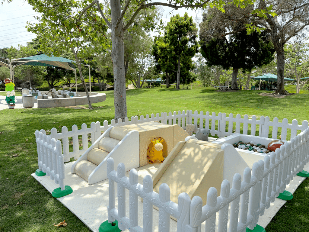 Football Birthday Party in Aliso Viejo Community Park