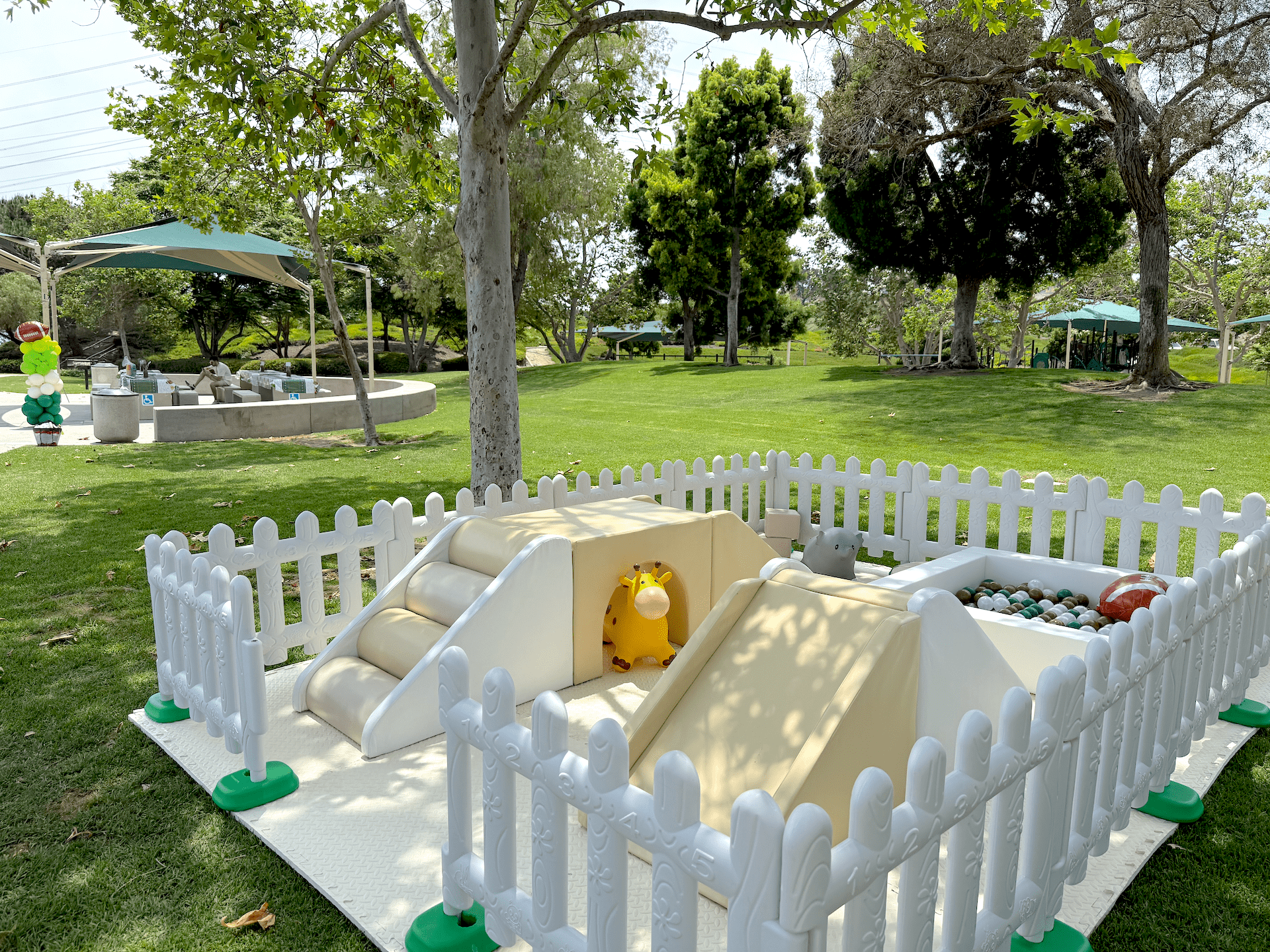 Football Birthday Party in Aliso Viejo Community Park