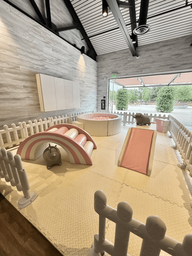 Bear-y First Birthday for Mia | Pink Soft Play & Balloons in Aliso Viejo 5 mia beary birthday softplayvertical