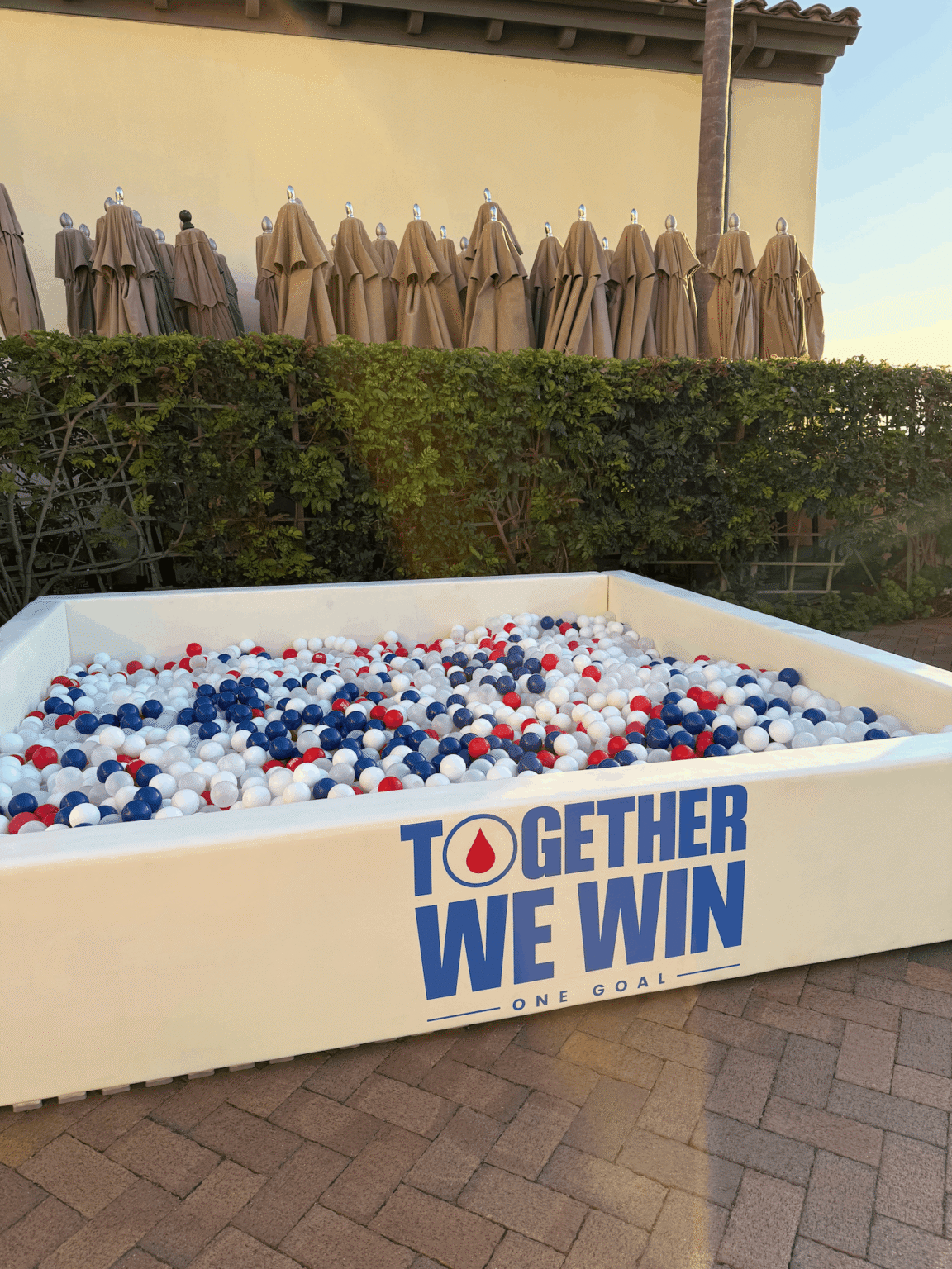 Gaurdant Health Ball Pit